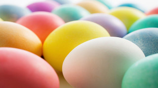 Colorful eggs row white background - full color free wallpaper