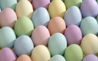 Colorful eggs box table group - pastel color free wallpaper