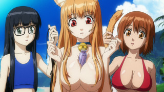 Anime girls bikini beach cat - three anime girl free wallpaper for desktop