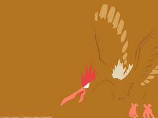 Bird red beak white tail - a white tail free wallpaper