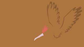 Bird long beak flying wings 2 - a red tail free wallpaper for desktop