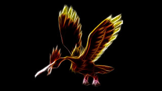 Bird flying air wings spread 10 - its wing free wallpaper
