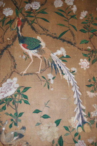 Peacock branch tree flowers leaves - emperor huizong of song free wallpaper