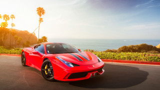 Red sports car ocean palm - a red sports car free wallpaper