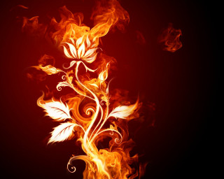Fire flower swirls leaves black 4 - alison kinnaird free wallpaper for desktop