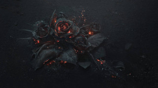 Flowers ground fire water nature - a bunch of flowers free wallpaper