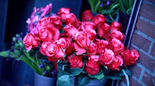 Red roses blue vase brick - a ledge next free wallpaper