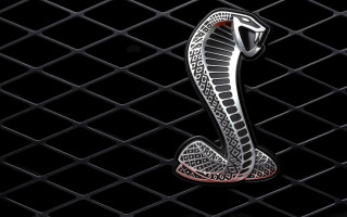 Snake black background red stripe - daarken free wallpaper