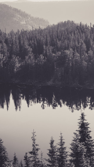 Lake trees mountains foggy sky 2 - free forest wallpaper for mobile