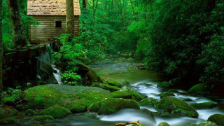 Small cabin woods stream nature - a small cabin free wallpaper