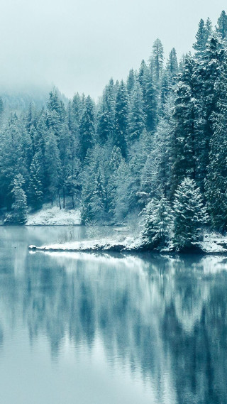 Lake trees snow forest fog - free winter wallpaper for mobile