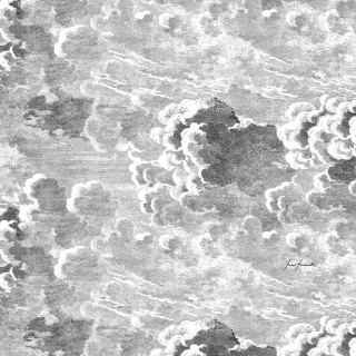 Plane clouds flemish baroque monochrome - a flemish baroque free wallpaper for tablet