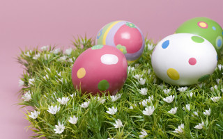 Decorated eggs daisies field pink - edi rama free wallpaper