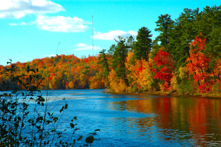Lake trees fall colors blue 4 - fall free wallpaper for desktop