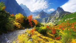 Mountain valley river orange yellow - a mountain valley free wallpaper