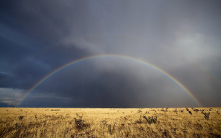 Double rainbow field grass weeds - double free wallpaper