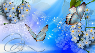 Blue background white flowers butterflies - anne stokes free wallpaper for desktop