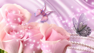 Pink rose butterfly purple background - the bottom of the image free wallpaper for desktop