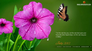 Butterfly flying over flower message - ammi phillips free wallpaper for desktop