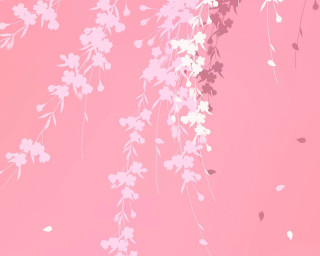 Pink background white flowers leaves 2 - white flower and leaves free wallpaper