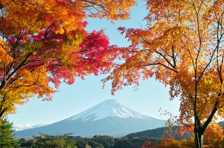 Mountain snow capped trees autumn - peak in the distance free wallpaper for desktop