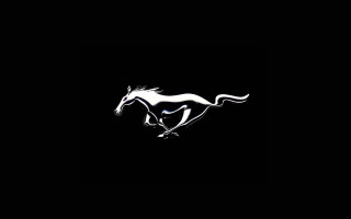 Horse running black background white - the front of its free wallpaper for desktop