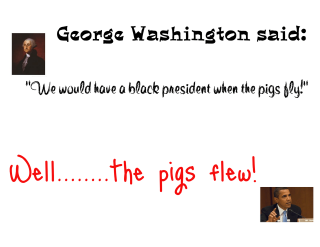 George washington pig president cartoon - brenda chamberlain free wallpaper
