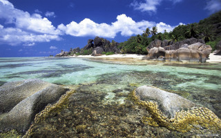Beach rocks corals blue sky 2 - didier mouron free wallpaper for desktop