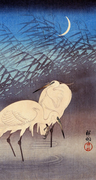 Birds water moon chinese writing - the bottom of the picture free wallpaper for mobile