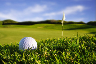 Golf ball grass hole flag - mesh wire free wallpaper for desktop