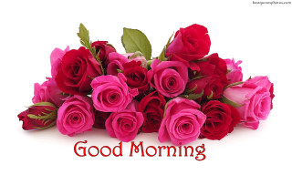Red roses good morning bouquet - red rose free wallpaper