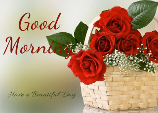 Basket roses good morning beautiful - a cross stitch free wallpaper