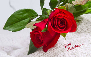 Red rose white towel good - bright morning free wallpaper