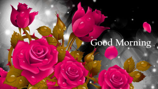 Pink roses good morning message - a good morning message free wallpaper