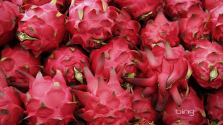 Dragon fruit red flesh green - green stem free wallpaper for desktop