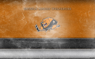 Grungy orange black bear hockey - adam willaerts free wallpaper