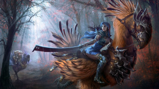 Woman riding bird forest sword - free fantasy wallpaper