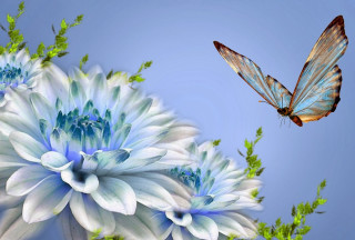 Blue butterfly over white flower - evelyn de morgan free wallpaper for desktop