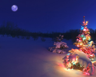 Christmas tree snow night full 3 - a full moon in the background free wallpaper