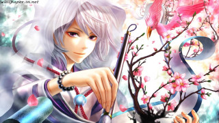 Anime boy flower bird cherry - a anime character holding free wallpaper