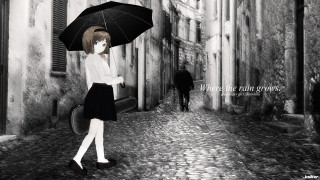 Woman walking street umbrella man - a street holding free wallpaper for desktop