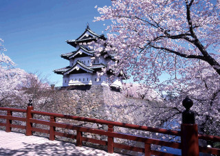 Tall white building hill tree - japan ukiyoe free wallpaper