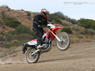 Dirt bike riding hillside trees - action pose free wallpaper