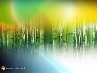 Colorful background trees rainbow light - adobe lightroom free wallpaper
