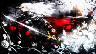 Woman sword field flowers roses - dark soul free wallpaper for desktop