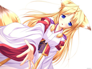 Anime girl blonde fox ears 4 - a broom free wallpaper