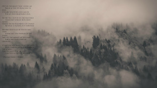 Forest fog monochrome poem girls - the bottom of the picture free wallpaper for desktop