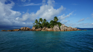 Small island palm trees ocean 14 - the middle of the ocean free wallpaper