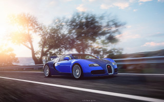 Blue sports car road tree - a blue sports car free wallpaper