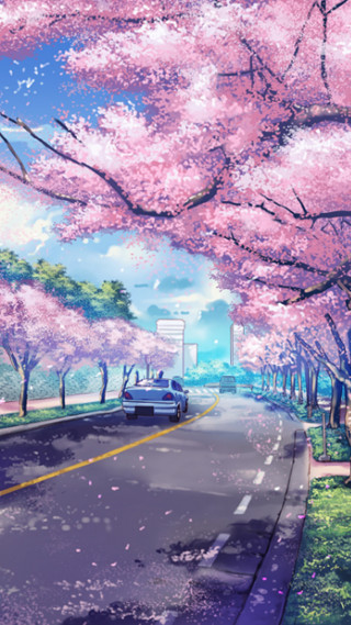 Car street pink flowers bench - lot free wallpaper for mobile